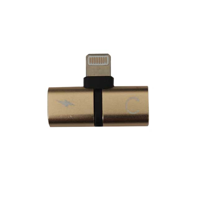 تبدیل 1 به 2 لایتنینگ 489