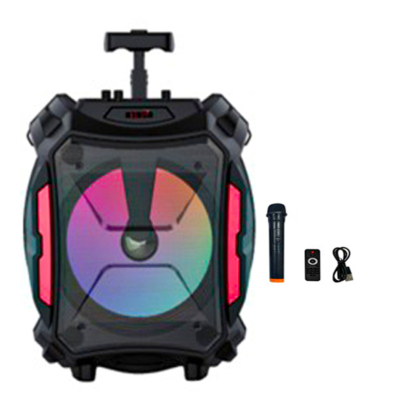 اسپیکر پرتابل ZQS 12110